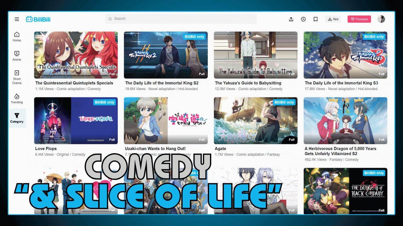 Comedy & Slice of Life