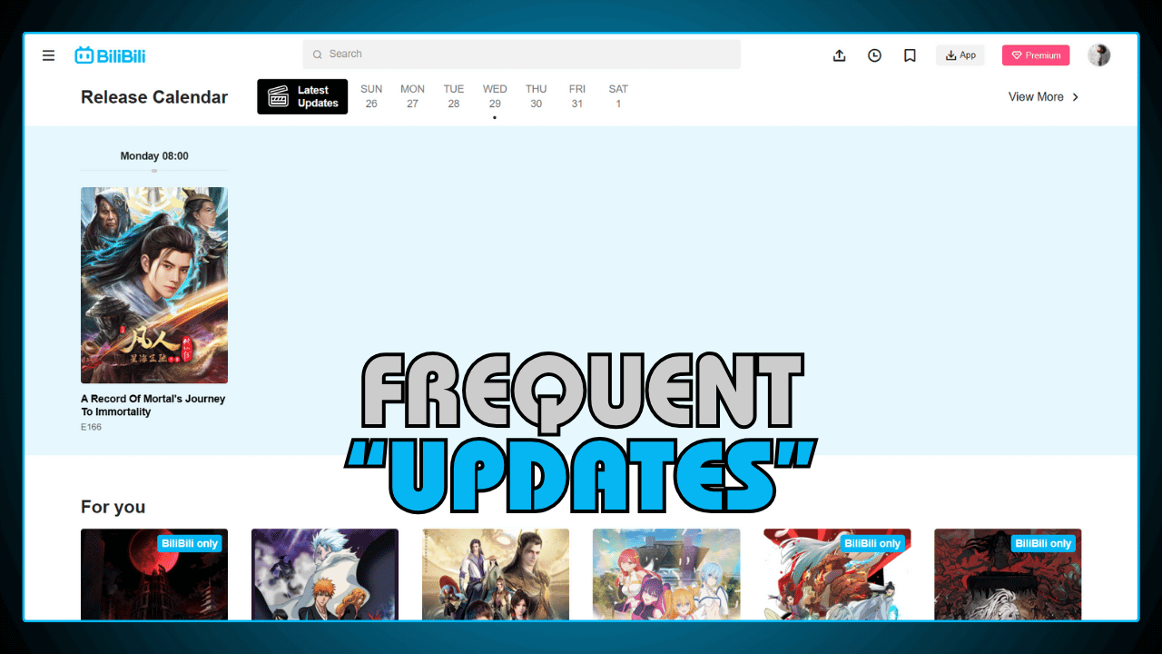 Frequent Updates and Improvements