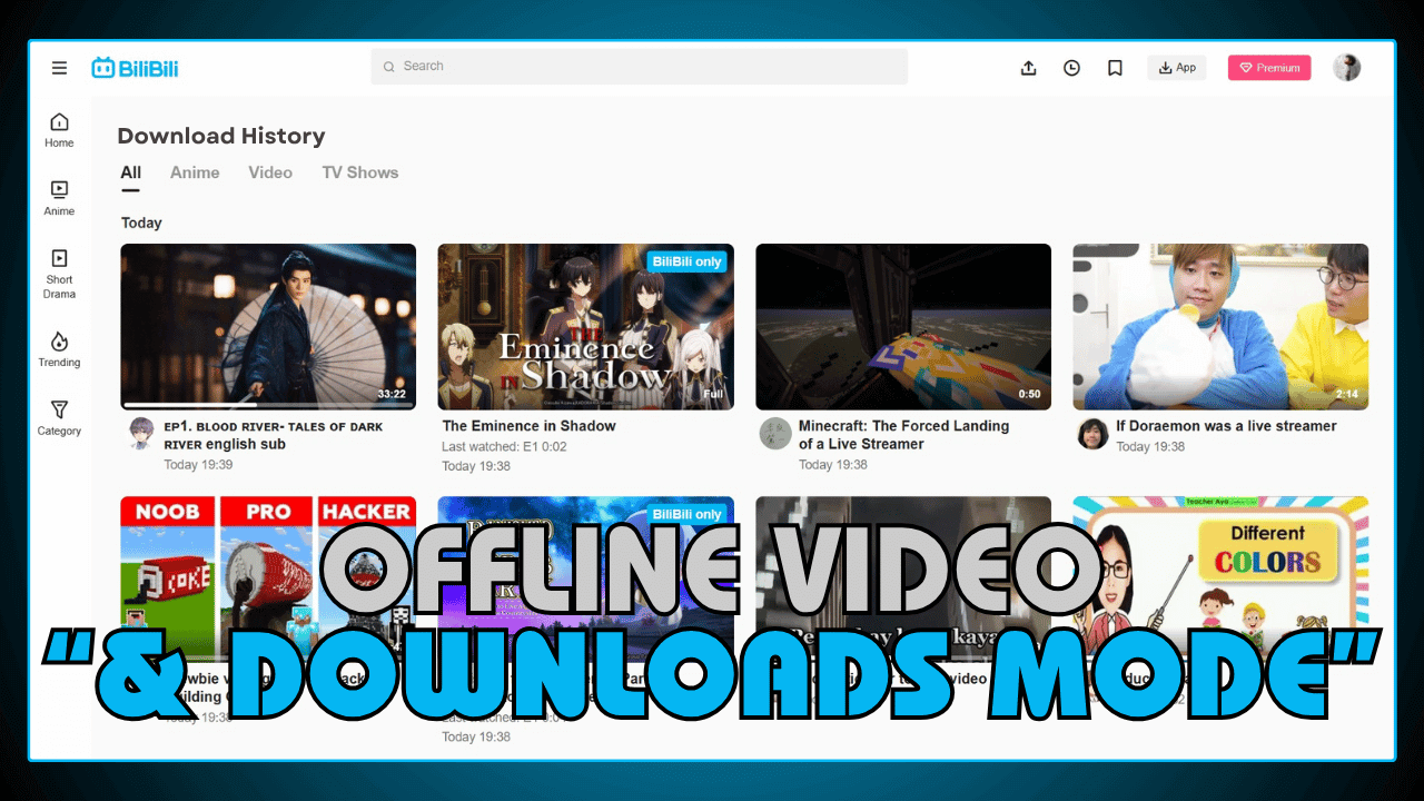 Offline Video and Downloads Mode